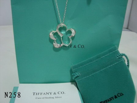 tiffany Necklace-089